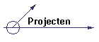 Projecten